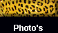  Photo's 